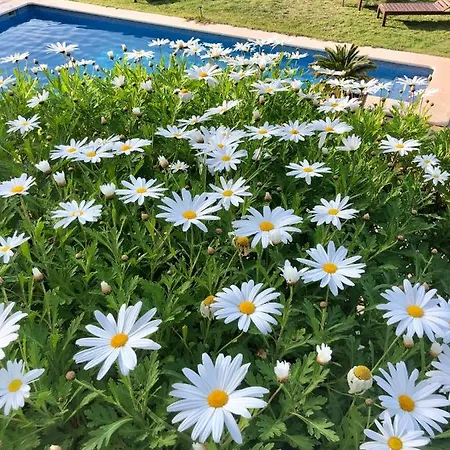 Sa Plana Petit Hotel Estellencs (Mallorca)