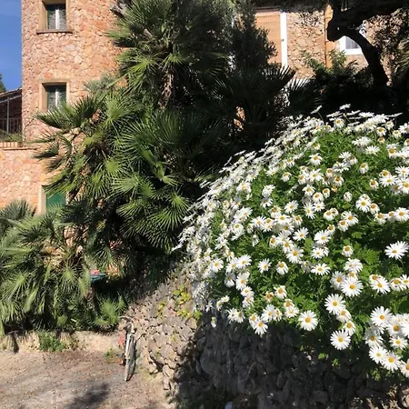 Sa Plana Petit Hotel Estellencs (Mallorca)